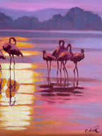Flamingos - Image 10