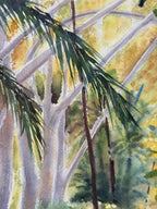 Selva