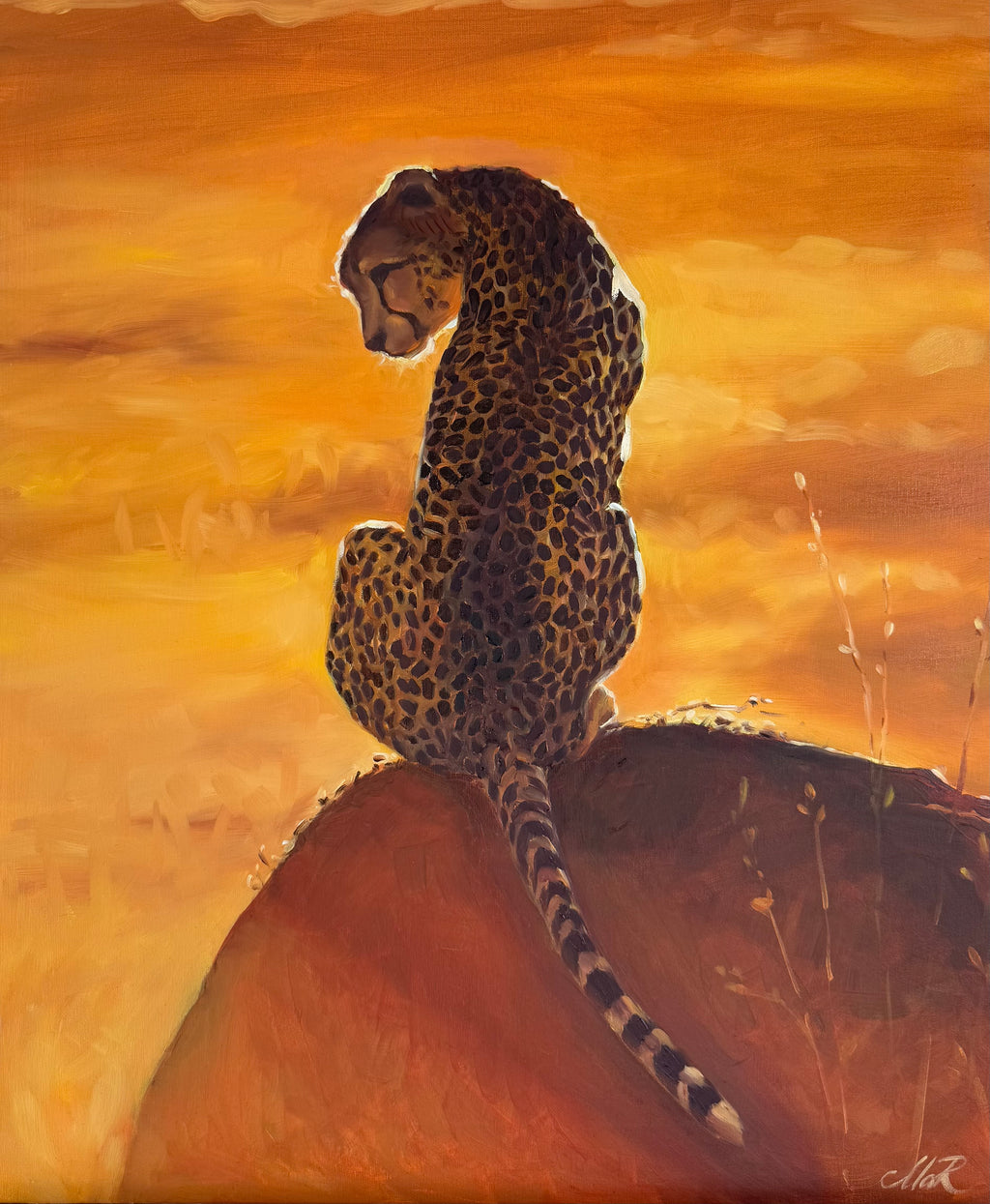 On a rock - Image 2
