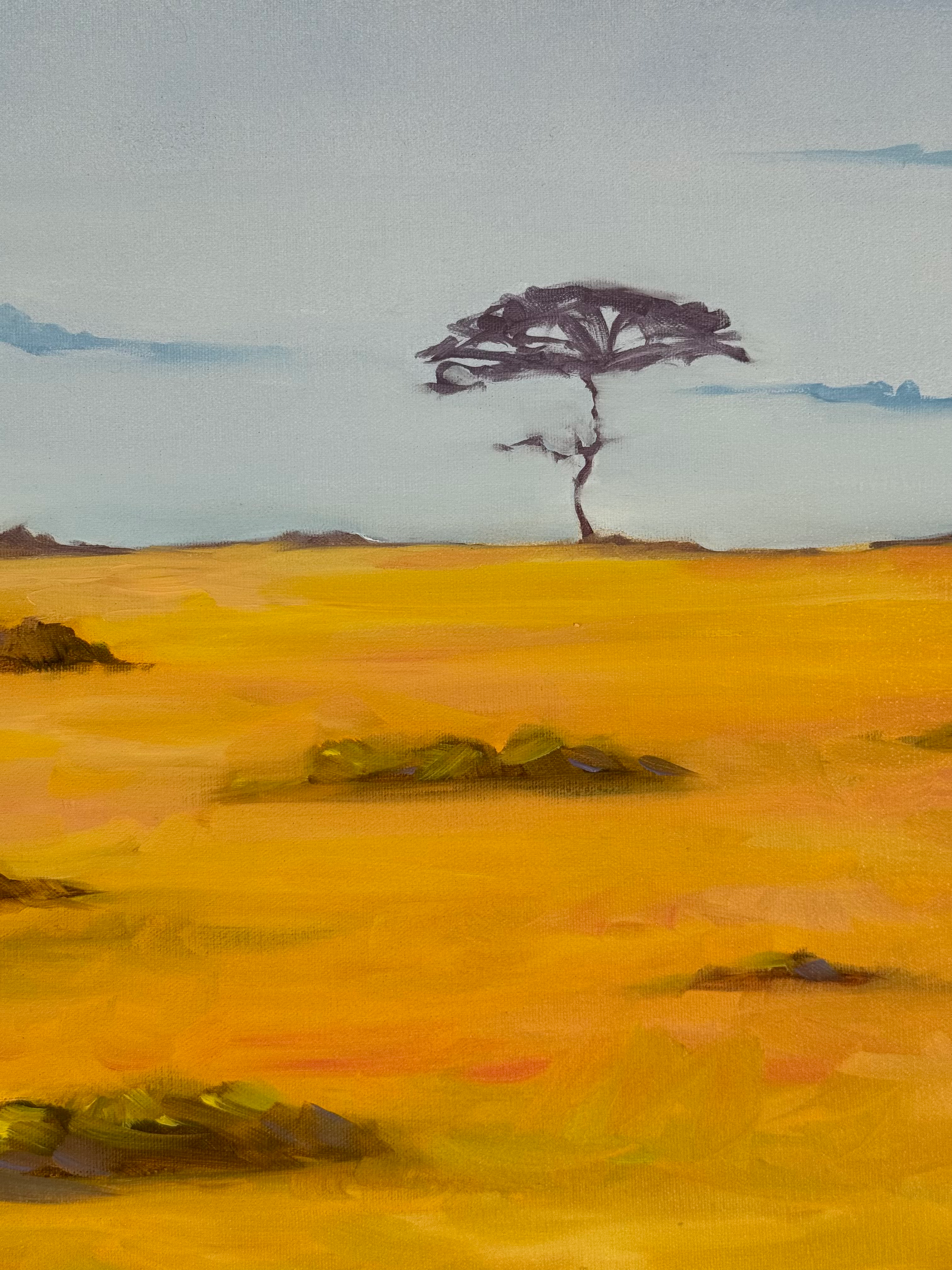 Ostriches - Image 6